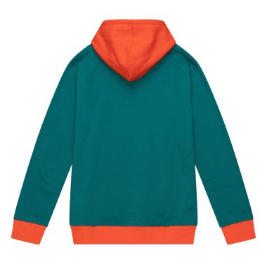 Big Face Hoody 5.0 Miami Dolphins