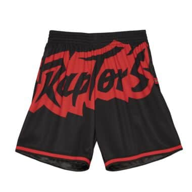 Big Face 2.0 Shorts Toronto Raptors